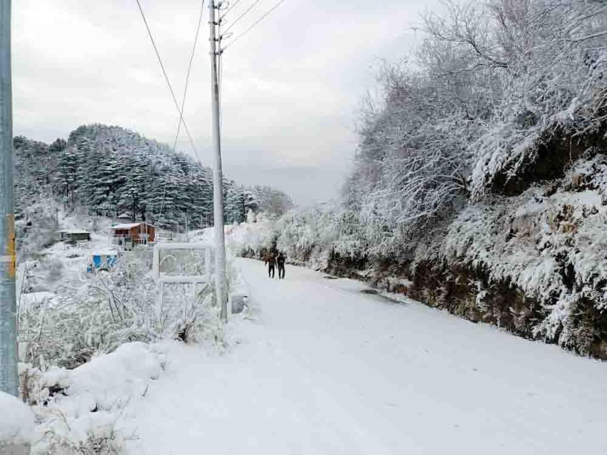 La Riqueza Kanatal #Mountain View Rooms # Near To Kodia Forest Jungle Saafari # 05 Mins From Adventure Activities Dış mekan fotoğraf